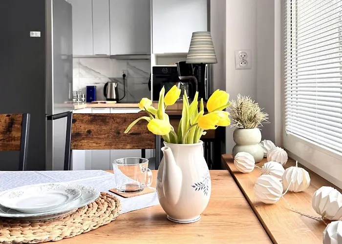 Apartman Marea Grunwaldzka *